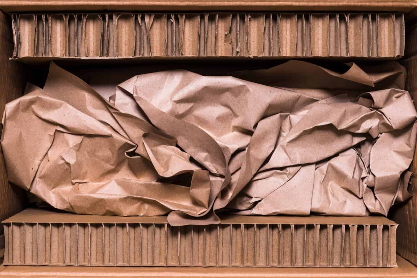 Protective paperboard packaging inside a carton